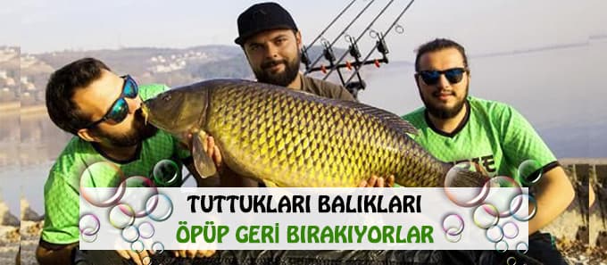 <font face="arial,helvetica,sans-serif" size="2">KENAN SOFUOĞLU DA DESTEK VERDİ<br /><br />Sezon  sonu olduğu i&ccedil;in Sakarya&rsquo;da bulunan D&uuml;nya Motosiklet Şampiyonu Kenan  Sofuoğlu da gen&ccedil;lere katılarak g&ouml;le balık bırakma seanslarına katıldı.  18 kilo ağırlığında bir sazanı Sapanca G&ouml;l&uuml;'ne bırakan Kenan Sofuoğlu,  g&ouml;lde bu kadar b&uuml;y&uuml;k balıkların yaşadığını bilmediğini s&ouml;yledi. Sapanca  g&ouml;l&uuml;nde şu ana kadar tutulan en b&uuml;y&uuml;k balık 31 kilogramla bir sazana ait  olduğu bildirildi.<br /><br />AMA&Ccedil;LARI S&Uuml;RD&Uuml;R&Uuml;LEBİLİR BALIK&Ccedil;ILIK<br /><br />&quot;Irie  Fishing&quot; grubu &uuml;yeleri ama&ccedil;larının sportif balık&ccedil;ılık yapmak ve  s&uuml;rd&uuml;r&uuml;lebilir avcılığa ve b&ouml;lgede zaman zaman yaşanan ka&ccedil;ak avcılığa  dikkat &ccedil;ekmek olduğunu s&ouml;yledi. Sosyal medya grubunun kurucularından  Taha Tarhan &ldquo;S&uuml;rd&uuml;r&uuml;lebilir avcılık yaparak gelecekteki nesillerin de bu  balıkları g&ouml;rmelerini sağlamak istiyoruz. Bir balık i&ccedil;in g&uuml;nlerce  beklediğimiz oluyor. Onu tutmak kadar yaşadığı sulara tekrar bırakmak da  keyifli.&rdquo;<br /><br />KA&Ccedil;AK AVCILIGA DİKKAT &Ccedil;EKİYORLAR<br /><br />B&ouml;lgedeki  ka&ccedil;ak avcılığa da dikkat &ccedil;eken Anadolu &Uuml;niversitesi , İşletme b&ouml;l&uuml;m&uuml;  &ouml;ğrencisi Taha Tarhan &ldquo;B&ouml;lgede balık tutan balık&ccedil;ılar i&ccedil;in 40 cm  &uuml;zerinde 5 balık tutma hakkı var. Ancak ka&ccedil;ak avcılık yapan bazı  kişiler, elektroşok cihazları kullanarak bir g&uuml;nde tonlarca balık  tutabiliyorlar. Bu da g&ouml;llerimizdeki balık pop&uuml;lasyonunun hızla  azalmasına neden oluyor&rdquo; dedi.<br /><br /><br /></font>