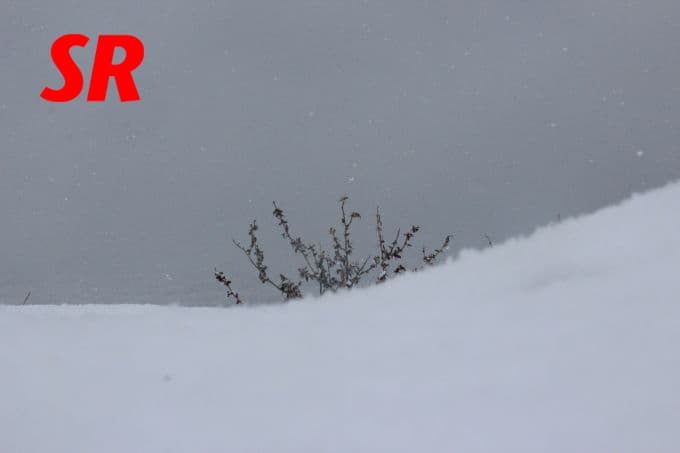 Şehirden kar manzaraları