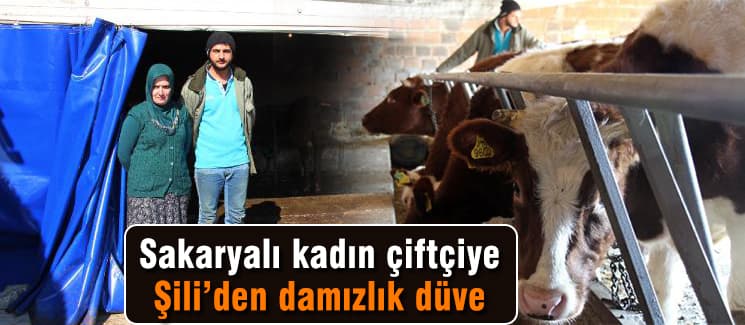 Sakarya'daki genç çiftçilere Şili'den damızlık düve