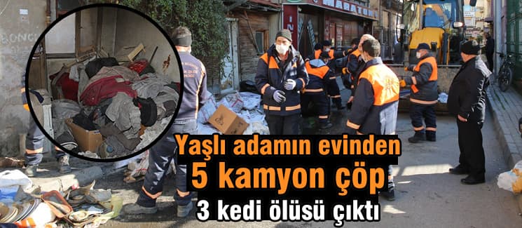 O evden 3 tane kedi ölüsü çıktı!