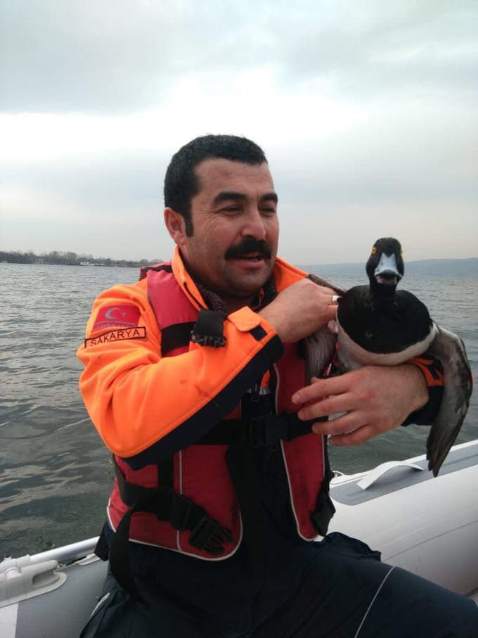 Bu kez de ördek için seferber oldular