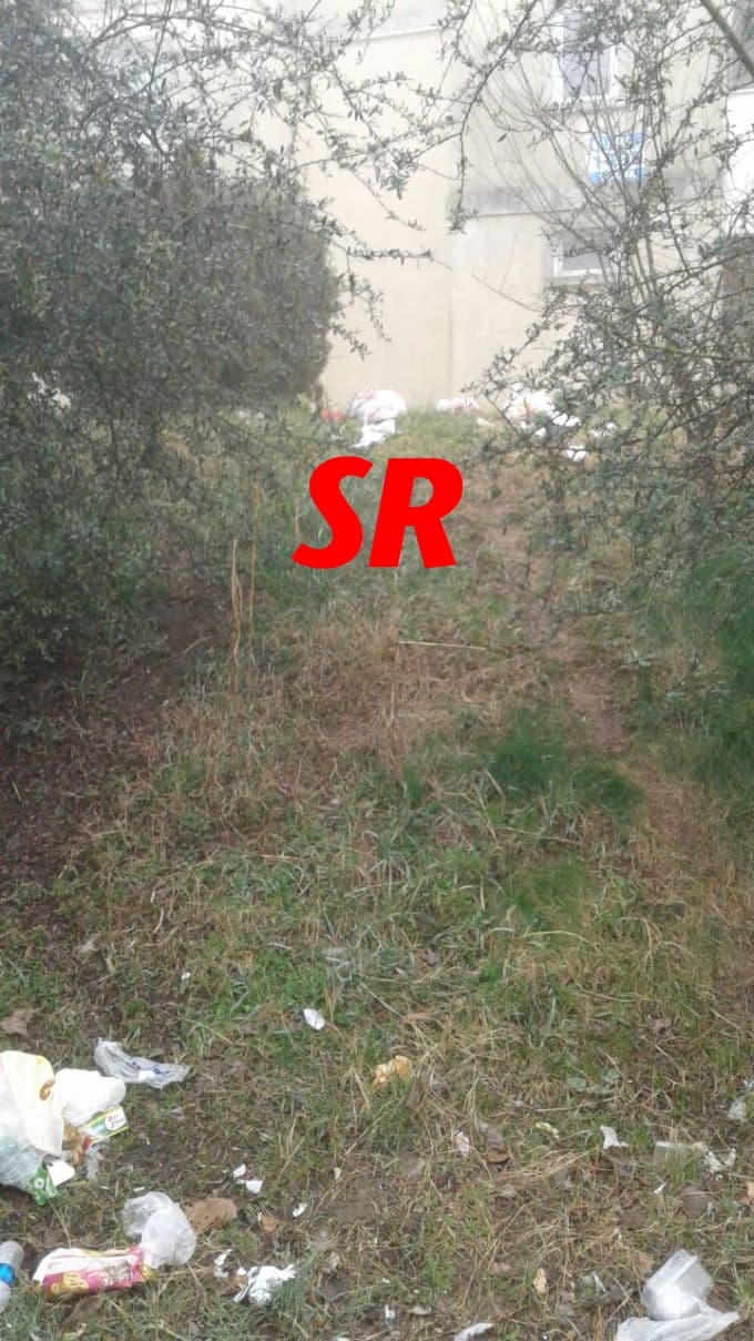 Bu görüntüler Karaman'dan