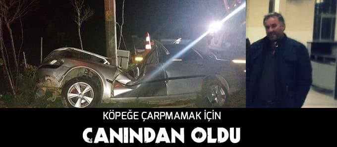 Köpeğe çarpmamak için canından oldu