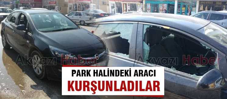 Park halindeki aracı kurşunladılar