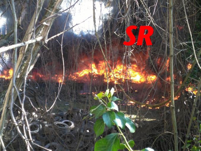 Sakarya'da büyük yangın