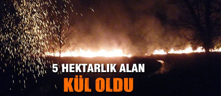 5 hektarlık alan kül oldu