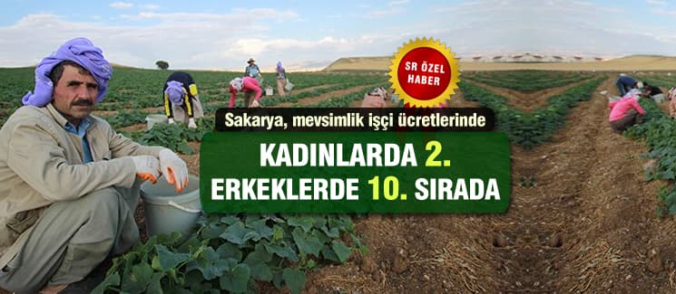 İşte Sakarya'da mevsimlik işçilere ödenen ücretler