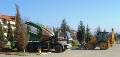 Ağaçlar Bundan Böyle Okul Bahçesinde Hayat Bulacak