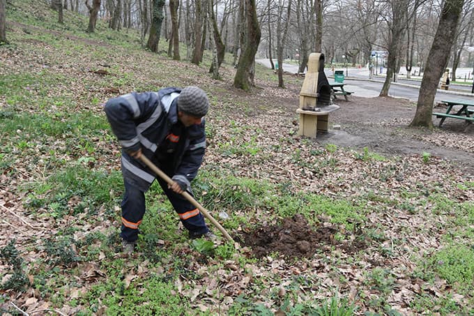 Akyazı Orman Park, meyve ağaçları ile donatıldı 