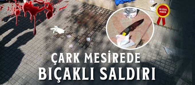 Çark Mesire'de bıçaklı saldırı