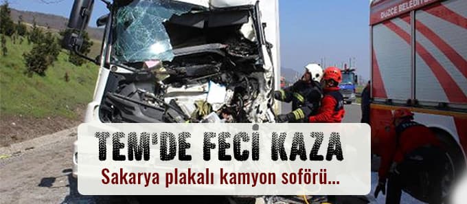 Sakarya plakalı kamyon şoförü hayatını kaybetti