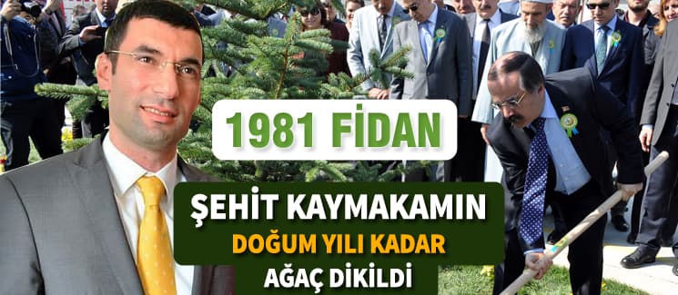 Şehit Kaymakam Safitürk anısına bin 981 fidan dikildi