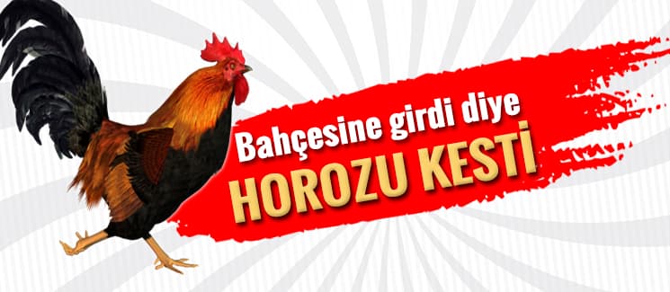 Bahçesine girdi diye horozu kesti