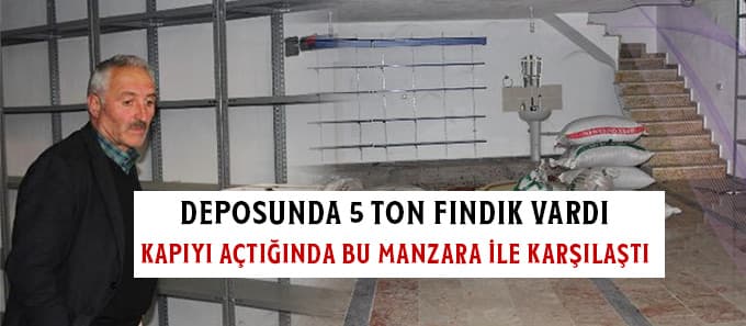 4,5 ton fındık çalındı