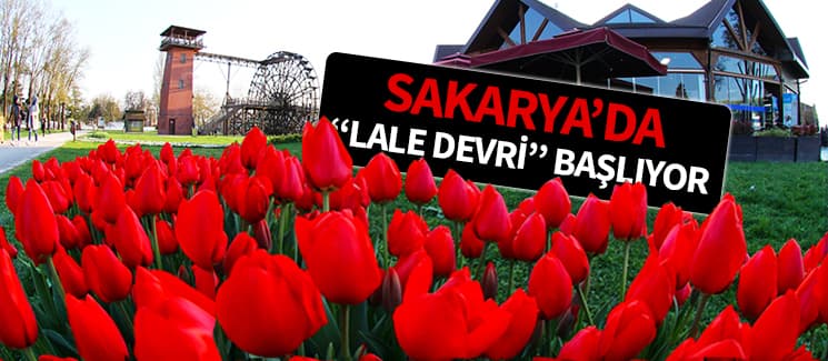 Sakarya'da Lale Şenliği başlıyor