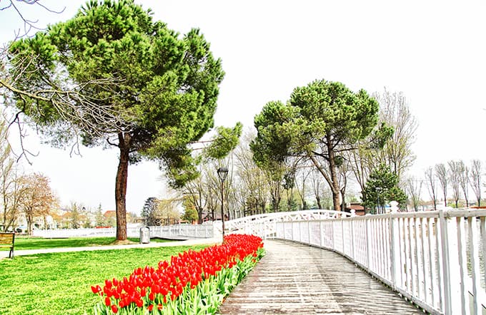 Sakarya'da Lale Şenliği başlıyor