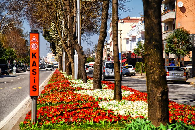 Sakarya'da Lale Şenliği başlıyor