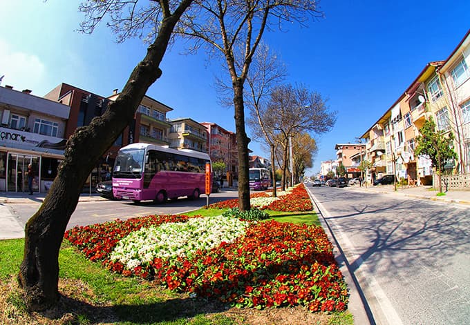 Sakarya'da Lale Şenliği başlıyor