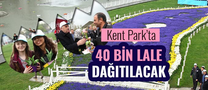 Kent Park'ta Lale Şenliği