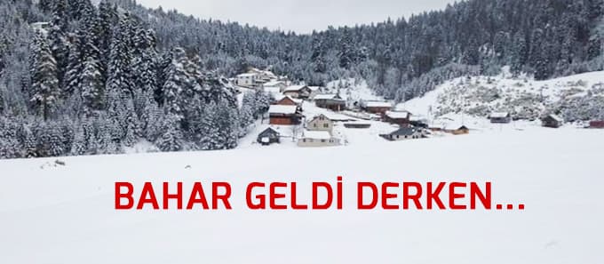Bahar geldi derken Çiğdem Yaylasına kar yağdı