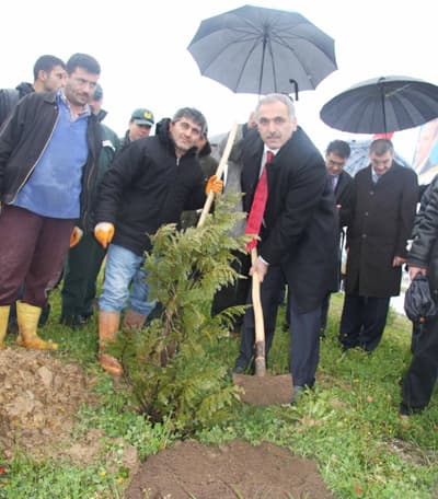 <font face="Arial" size="2">Hendek Kaymakamı Harun Kaya da, ağa&ccedil;landırma seferberliği kampanyasında Hendek'te ağa&ccedil;landırma yapacak yer bulmakta zorluk &ccedil;ektiklerini ve bundan gurur duyduklarını belirtti. Kaya, Hendek'in yeşil &ouml;rt&uuml;s&uuml;n&uuml; korumanın herkesin g&ouml;revi olduğuna dikkat &ccedil;ekti.<br /><br /><strong><font color="#000000">T&uuml;rkiye'nin &Ccedil;ok Şanslı İllerinden</font></strong> <br /><br />AK Parti Sakarya B&uuml;y&uuml;kşehir adayı Zeki To&ccedil;oğlu ise, Sakarya'nın şanslı bir il olduğunu belirterek,<font color="#333399"> &quot;İlimiz yeşil ve mavinin buluştuğu T&uuml;rkiye'nin &ccedil;ok şanslı illerinden. Bizlerde bu şehirde yaşayan şanslı insanlarız. Şehrimiz gelişirken ilimizin bu g&ouml;r&uuml;nt&uuml;s&uuml;nden taviz vermeyeceğiz&quot;</font> diye konuştu. <br /><br />TEM Otoyolu Hendek Mevkii'nde iki g&uuml;nde toplam 1150 adet fidan dikildi.</font>