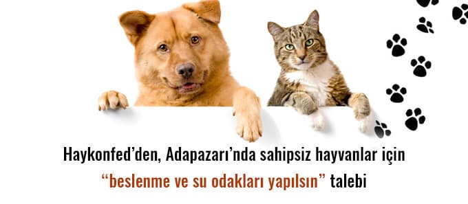 "Sahipsiz hayvanlar için mama ve su odağı yapılsın"