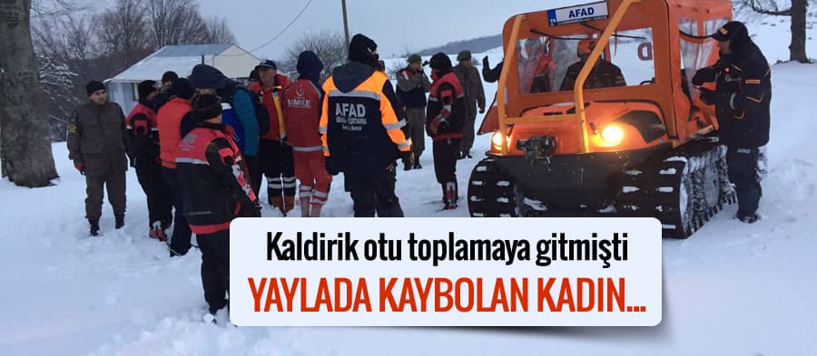 Kaldirik otu toplamak için gittiği yaylada kaybolan kadın...