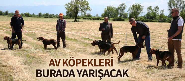 9. Fermalı Av Köpekleri Yarışması düzenlenecek