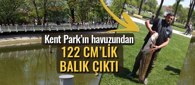 Kent Park'ta 122 cm'lik balık tutuldu