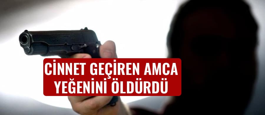 Cinnet geçiren amca yeğenini öldürdü