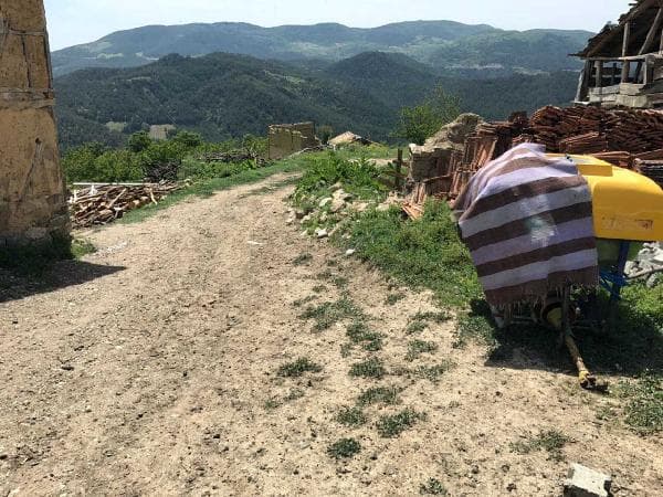 Kurtlar, koyun sürüsüne saldırdı