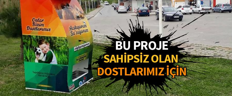 Sahipsiz sokak hayvanları için örnek proje