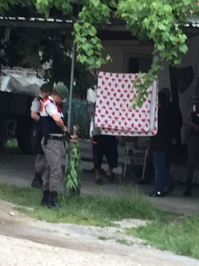 7 bin kök kenevir ele geçirildi