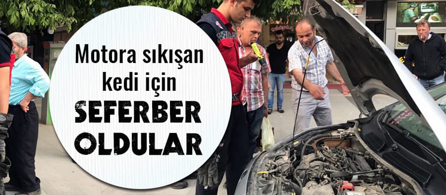 Otomobilin motoruna sıkışan kediyi itfaiye kurtardı
