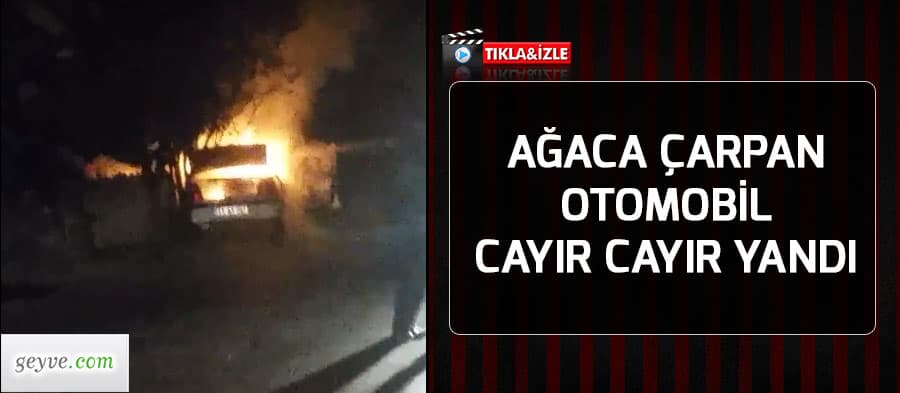 Ağaça çarpan otomobil cayır cayır yandı