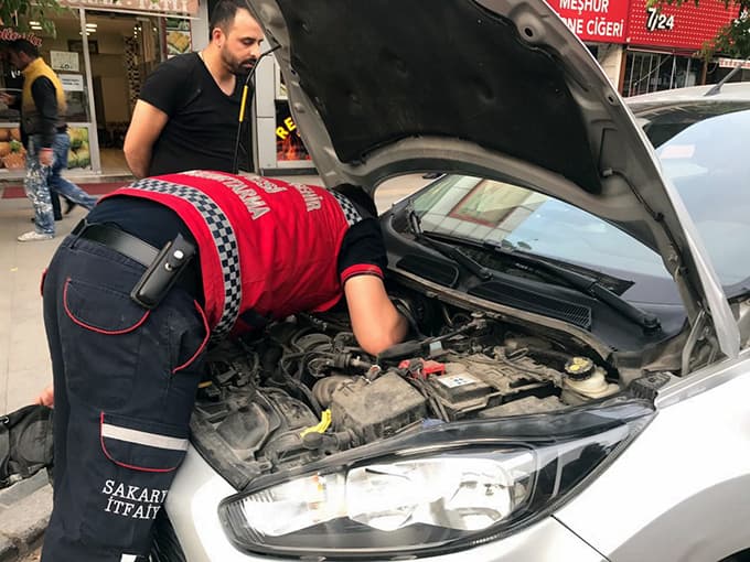 Otomobilin motoruna sıkışan kediyi itfaiye kurtardı