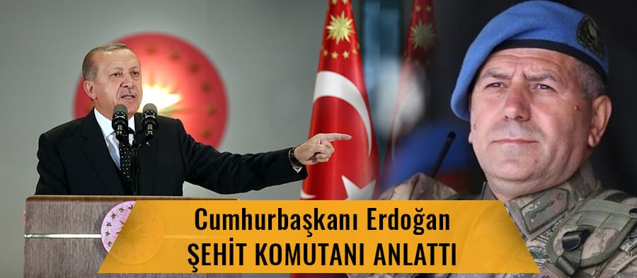 Sakarya'ya şehit ateşi düştü