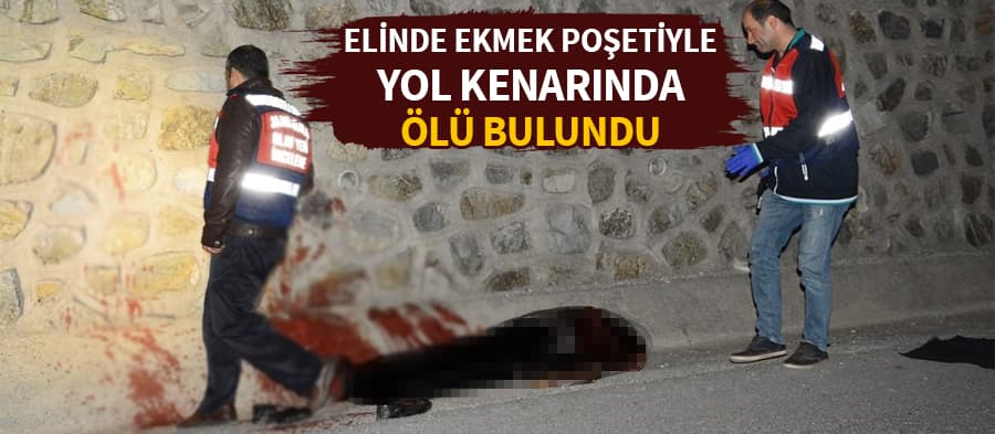 Yol kenarında ölü bulundu
