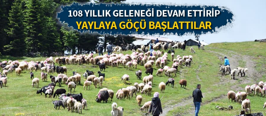 Yaylaya göç başladı
