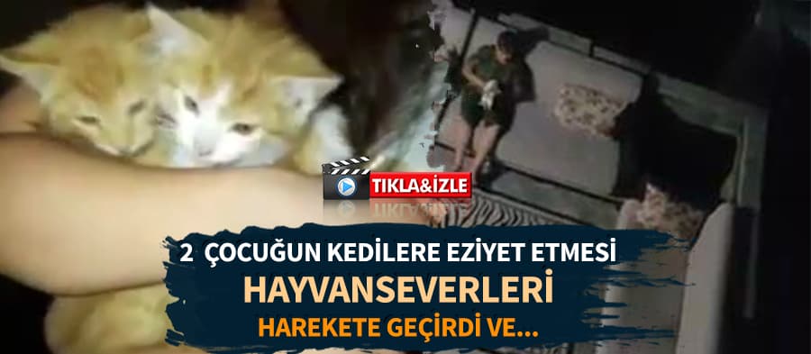 O görüntüler hayvanseverleri harekete geçirdi