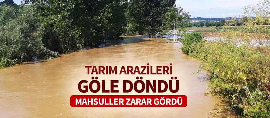 Tarım arazileri göl oldu
