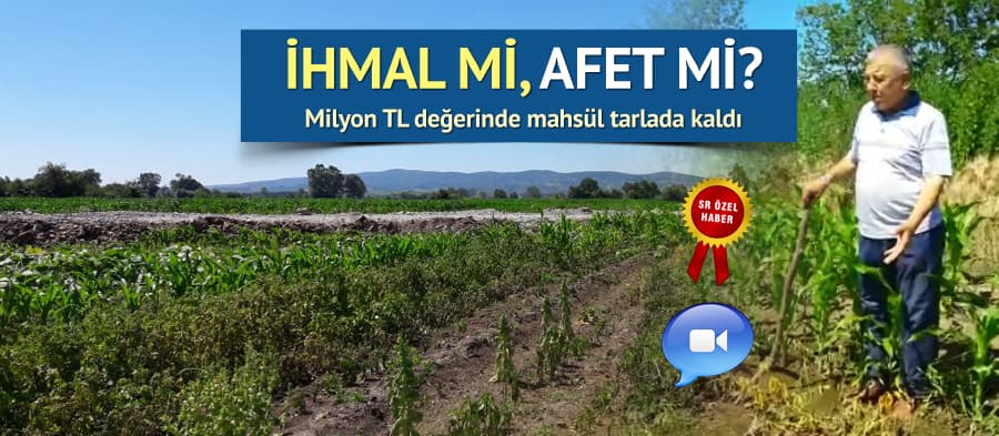 Milyon TL değerinde mahsül tarlada kaldı