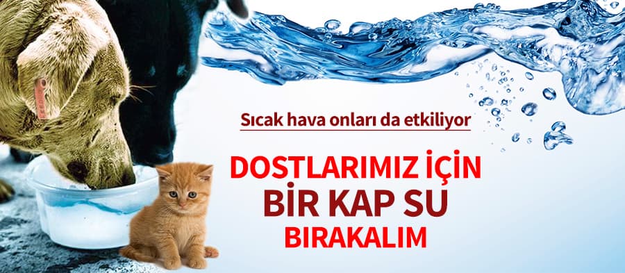 Onlar için bir kap su
