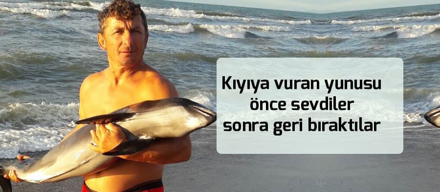 Kıyıya vuran Yunus balığı tekrar denize salındı