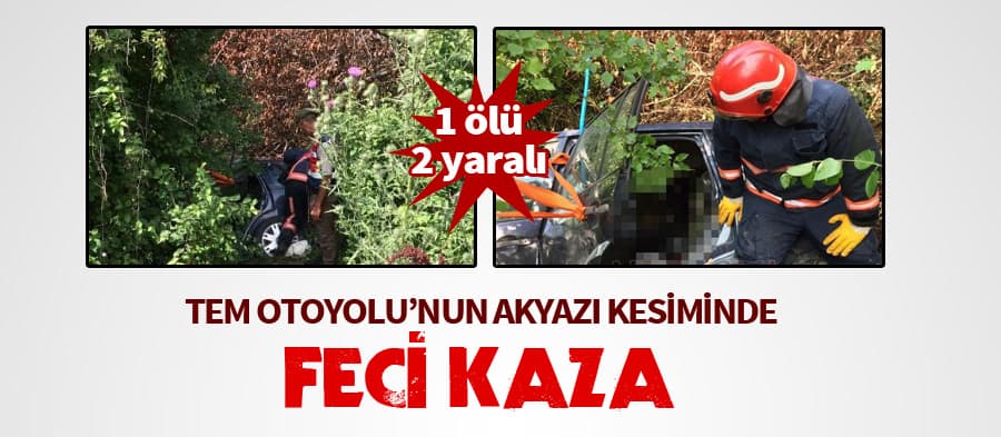 Akyazı TEM Otoyolu'nda feci kaza