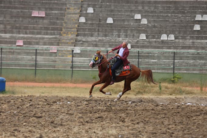 Şehit ve gaziler cirit müsabakası düzenlendi