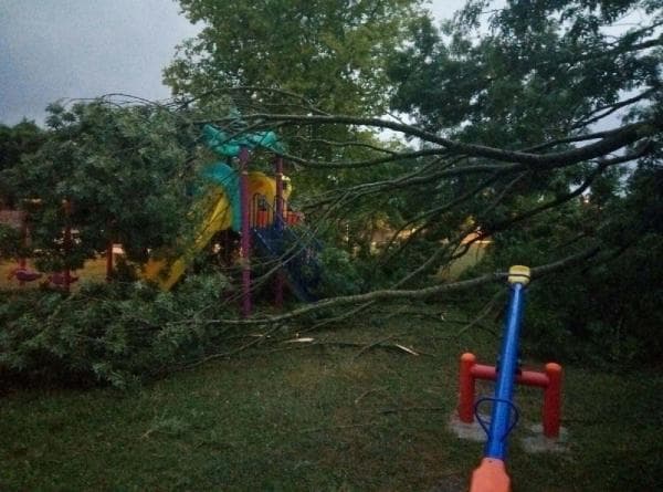 Oyun parkındaki ağaca yıldırım düştü