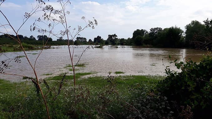 Tarım arazileri sular altında kaldı