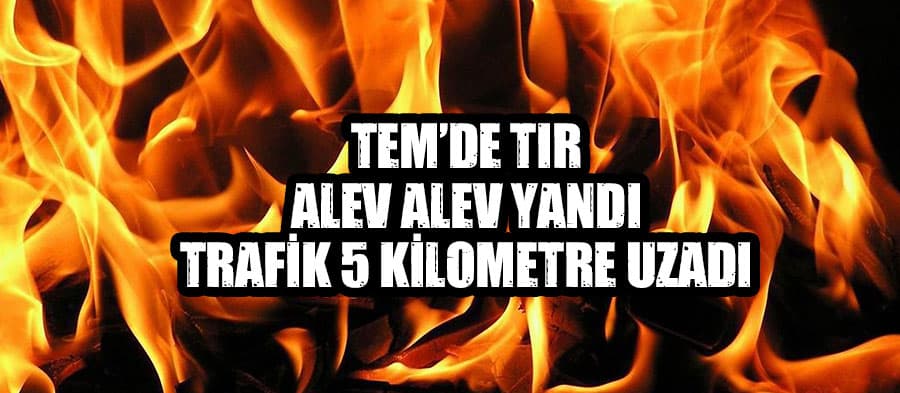 TEM Otoyolu'nda TIR yandı