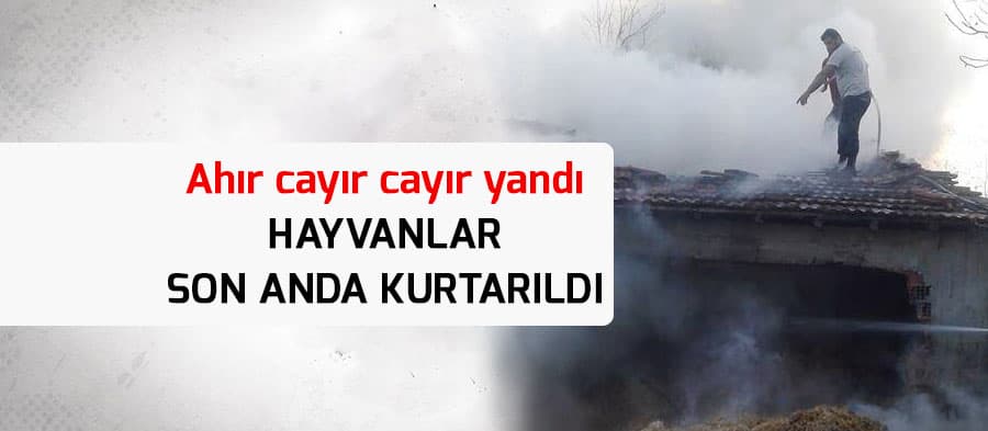 Sakarya'da ahır ve samanlık yangını